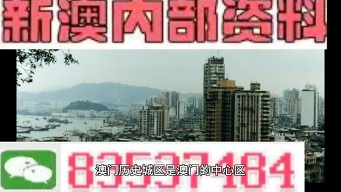 2025-2024全年澳门和香港与香港精准免费资料大全,文明解释解析落实