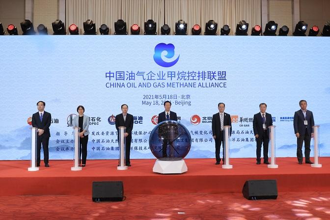 2025新奥天天资料免费大全,词语作答解释落实