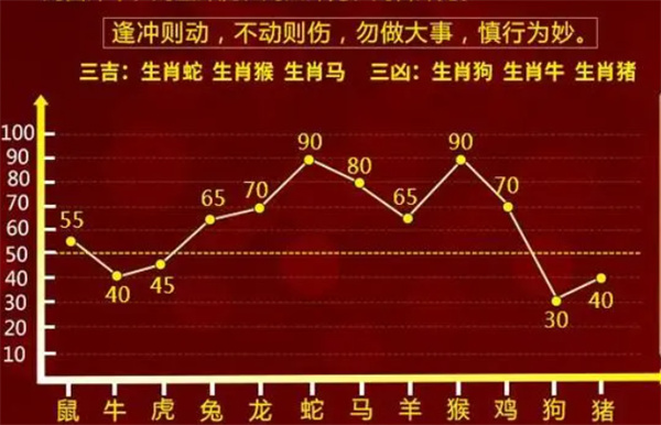 精准一肖一码100,科学释义解释落实