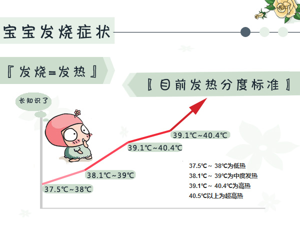 宝宝11个月发烧，全面解析与应对指南