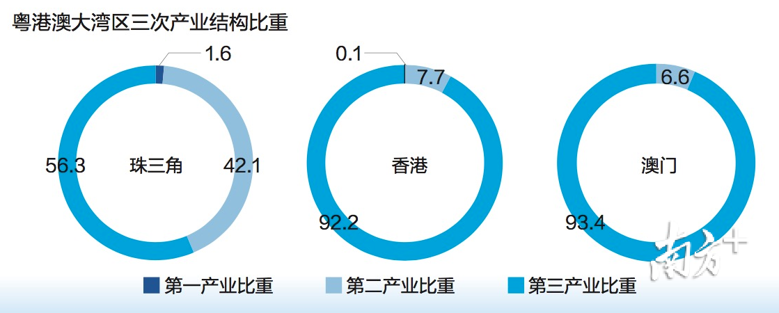 广东新华陶建材有限公司，深度解析其在澳门及泛珠三角区域的影响力