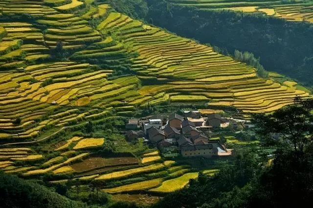 广东省连州黑山村梯田，自然与人文的交响乐章