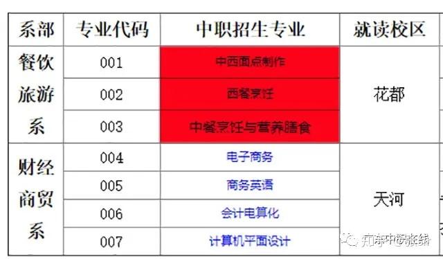 广东省优秀职校专业深度解析