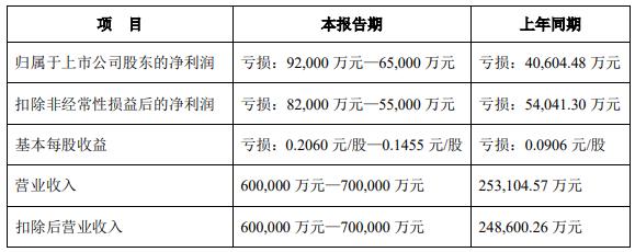 江苏爱康科技投资瑞安，深度分析与展望