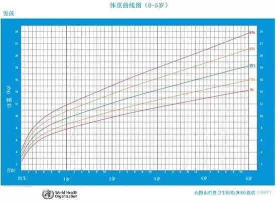 胎儿后两个月的生长速度与体重增长，揭秘胎儿后两个月的成长奇迹