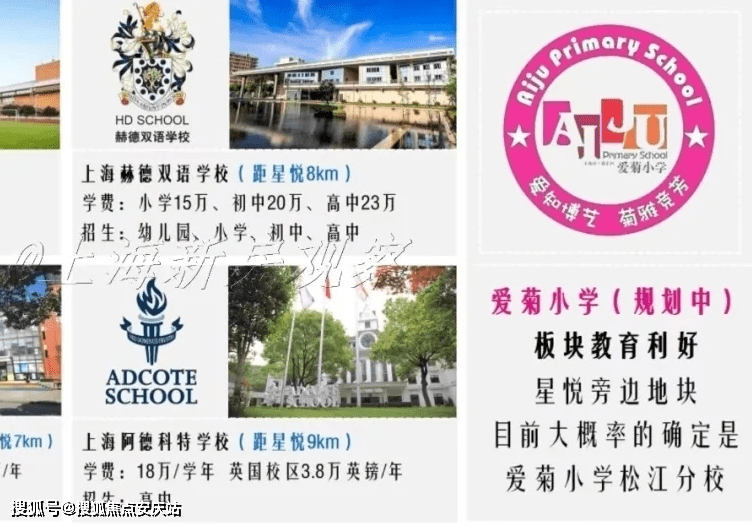 广东宸昊科技有限公司，深度解析其发展与影响