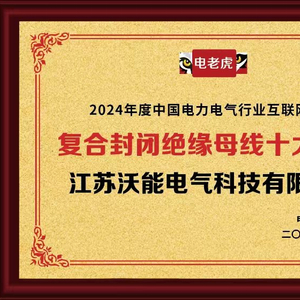 江苏苏电电气科技成功中标澳门知识类专家深度解析