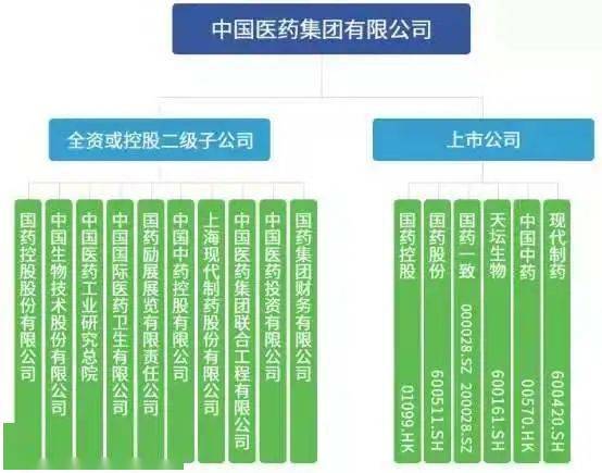 广东国控医药有限公司，澳门视角的深入解析