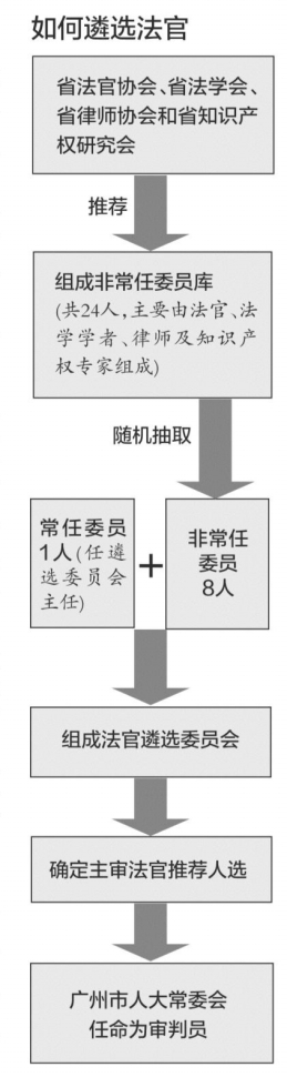 广东省初任法官公示制度，构建透明司法体系的关键一环