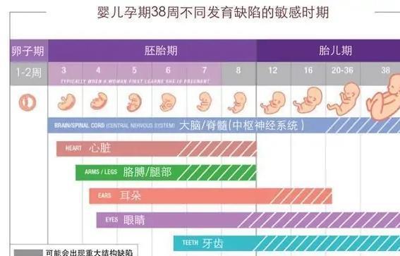 孕妇28周是几个月，深入了解孕期周期与胎儿成长