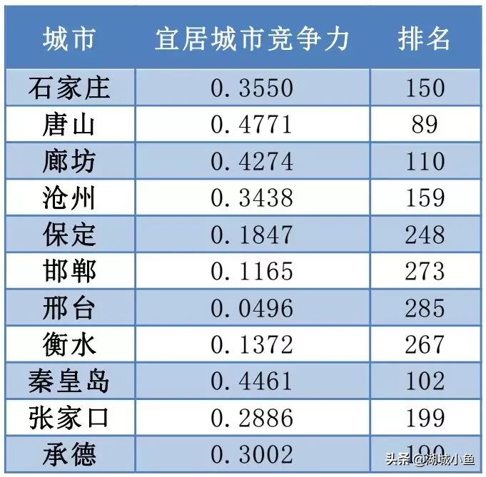 广东省高三衡水联考，澳门视角下的深度解读与前瞻