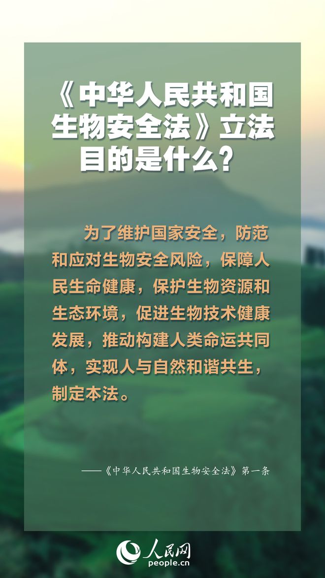 澳门知识专家解读，秋天的月份定义与独特魅力