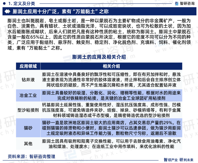 广东梅县膨润土有限公司，深度解析与前景展望